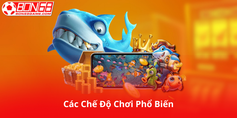 Các Chế Độ Chơi Phổ Biến